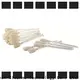 high quality laser printer cleaning kit Electronic-grade IPA Snap Swab wholesale for Evolis printer 1