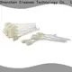 Cleanmo T shape zebra cleaners supplier for Zebra P120i printer1 1