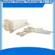 Cleanmo Hot-press compound Evolis Cleaning Pens supplier for Cleaning Printhead3 1