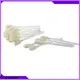 Cleanmo Bulk purchase custom IPA pre-saturated cleaning swabs factory for computer keyboards 1
