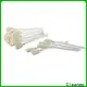 Wholesale high quality zebra cleaning card T shape wholesale for Zebra P120i printer 1