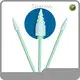 Polyurethane Foam Swabs AvailableManufacturers 1
