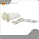 Cleanmo, tampon de nettoyage pour tête d&39;impression Swwip disponible 1