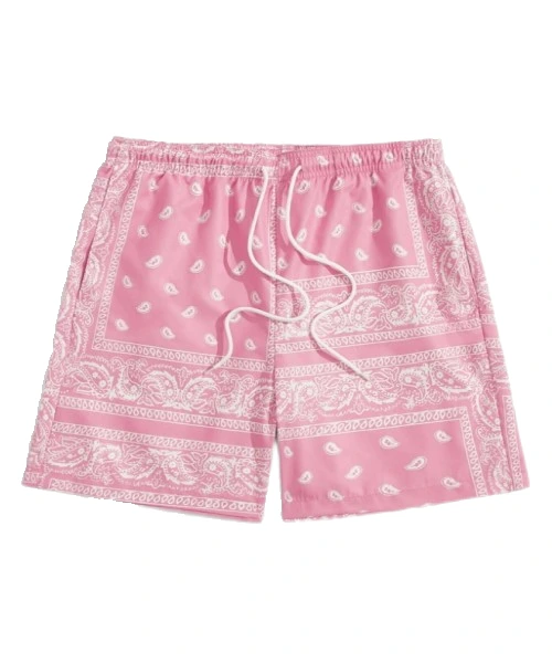 Men Drawstring Waist Paisley Print Shorts 1