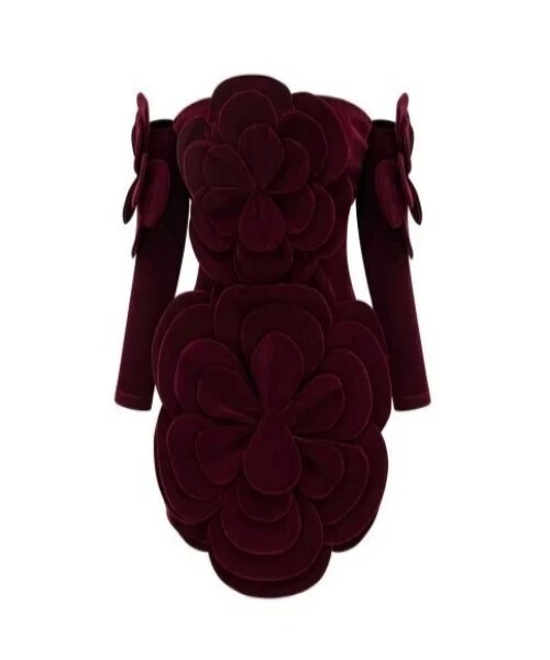 Dark Red Embroidered Mini Dress for Formal Events or Parties 1