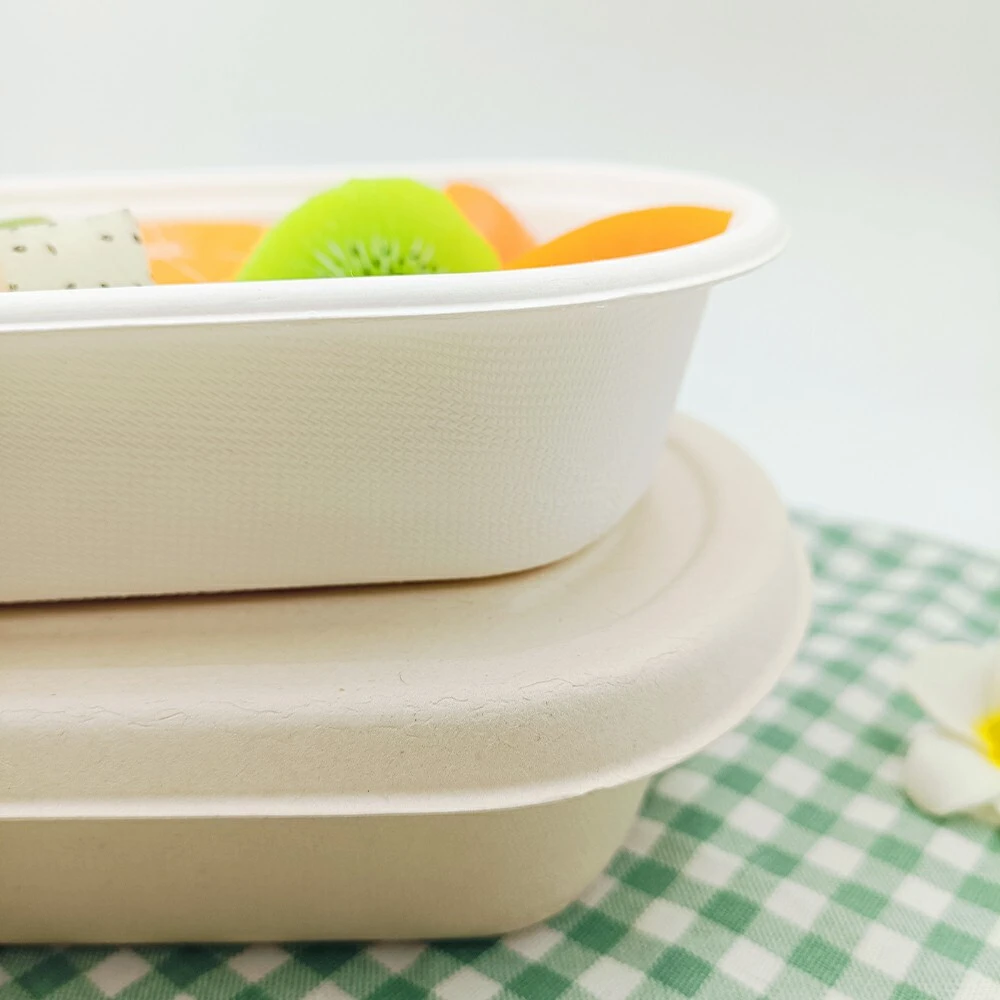 Sugarcane Packaging Boxes OEM/ODM - - Leabonpack 3