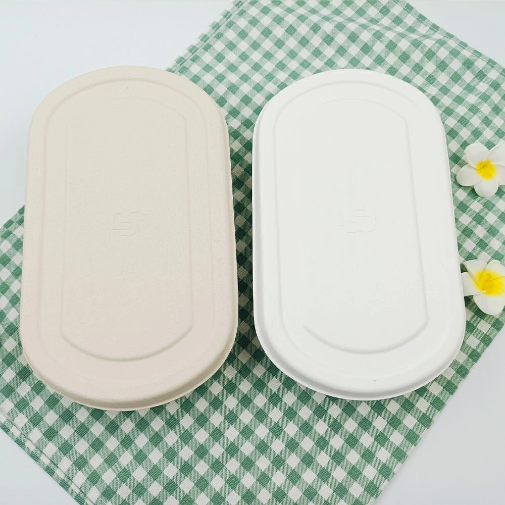 Sugarcane Packaging Boxes OEM/ODM - - Leabonpack 4