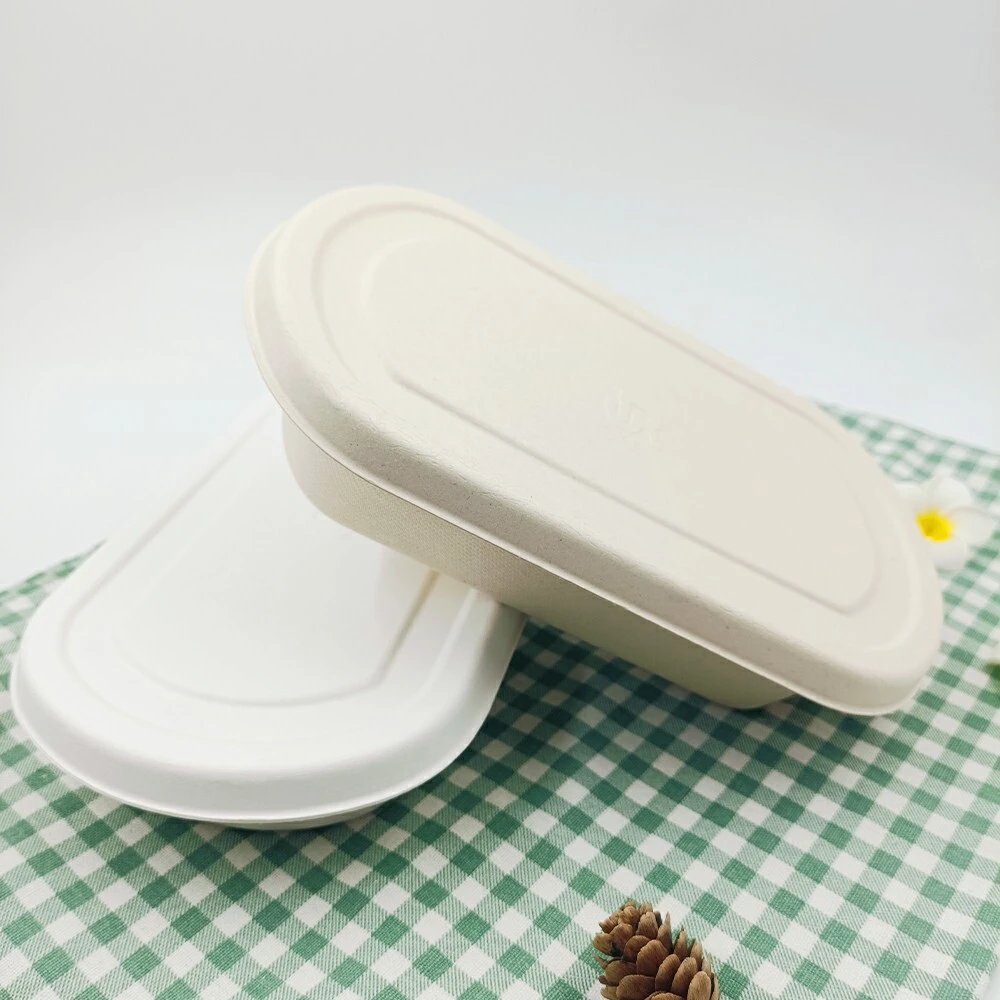 Sugarcane Packaging Boxes OEM/ODM - - Leabonpack 5