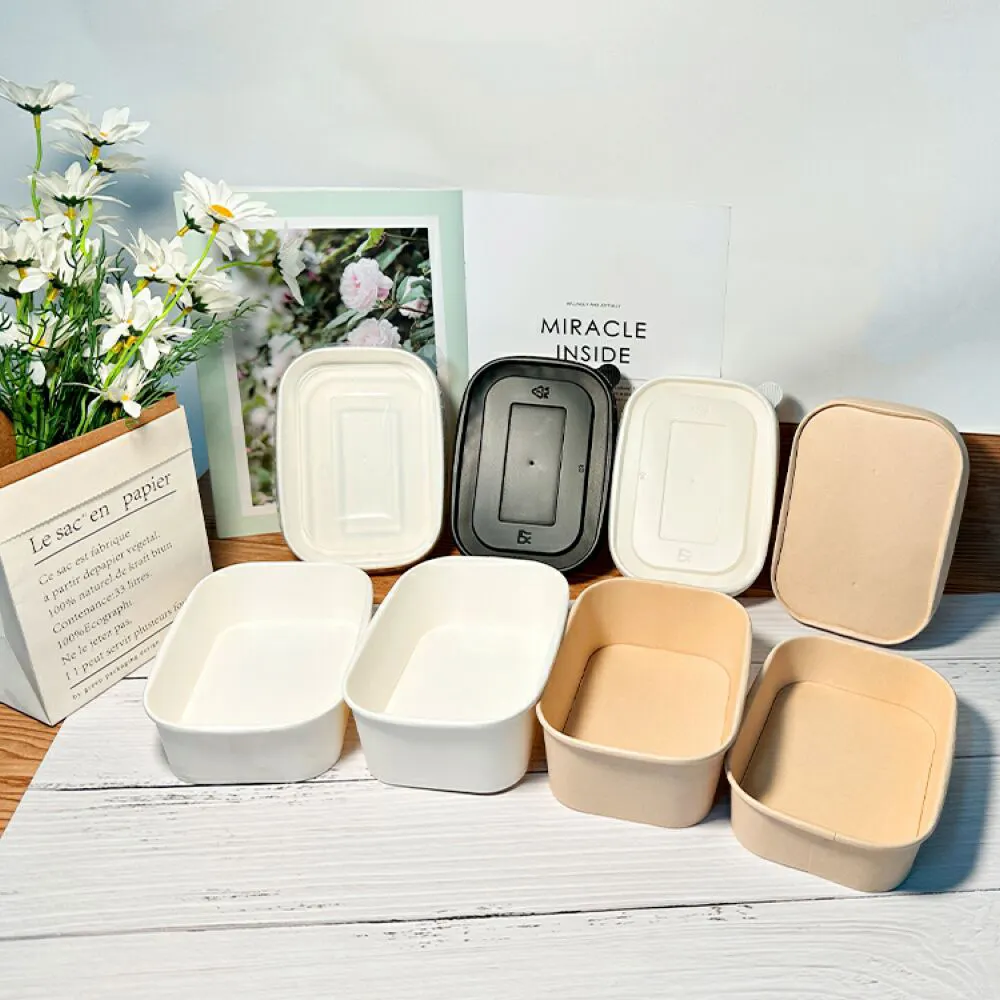 Custom Made Kraft Takeout Box Price List 6