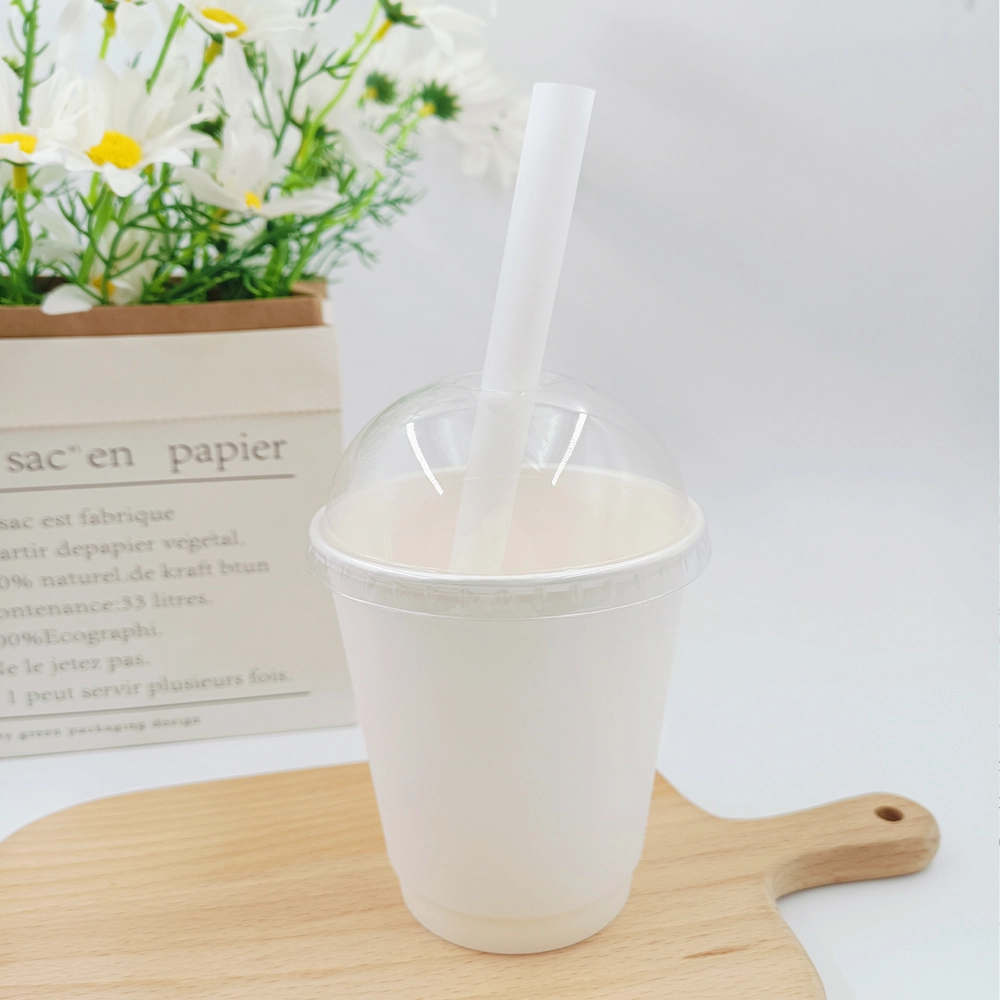 Printed Paper Straws PSW001 1 Pieceprice 2