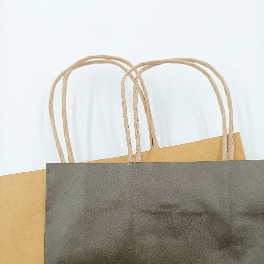 Paper Handle Bags HDC076 1 PieceSuppliers 3