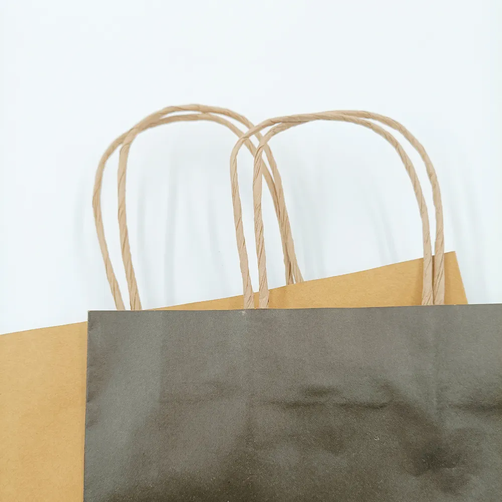 White Twist Handle Paper Bags HDC076Company 3