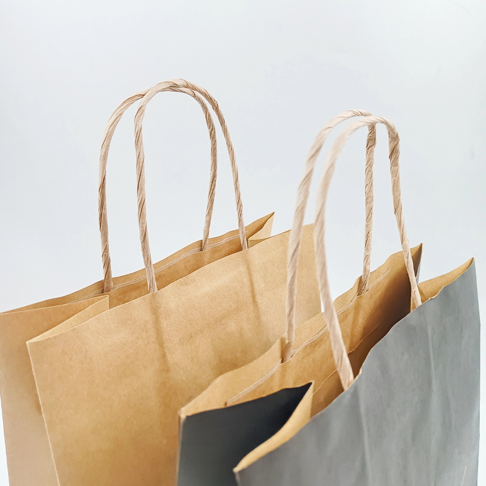 Paper Handle Bags HDC076 1 PieceSuppliers 6