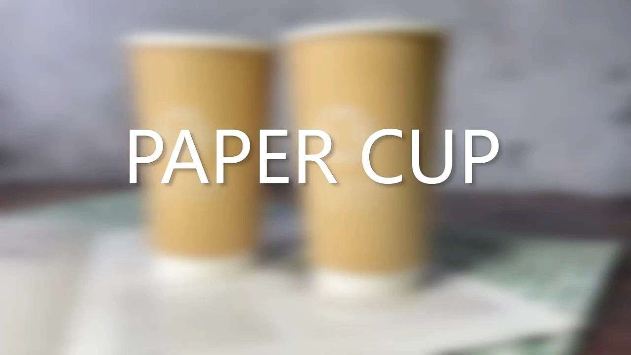 Disposable Double Wall Paper Coffee Cups With Lids For Hot Coffee 1
