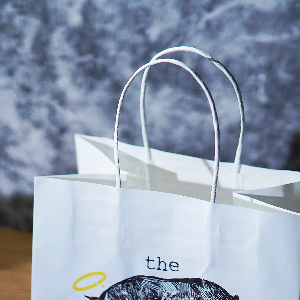 Custom Paper Bag Manufacturers Factory HDC076 5