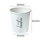 Disposable Cups Supplier Supplier 1 Piece 3