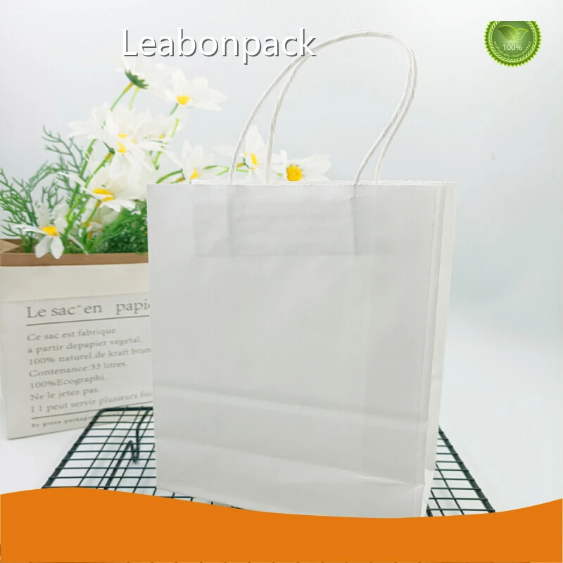 New Custom Paper Bags Wholesale Manufacturers 1