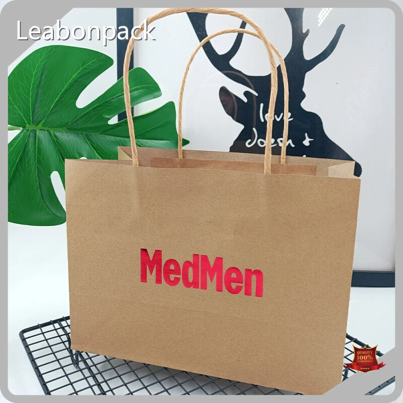 Custom Paper Bags with Logo Supply 1 Piece 1