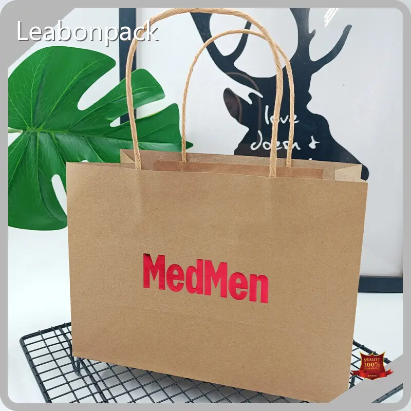 Custom Paper Bags with Logo Supply 1 Piece 1