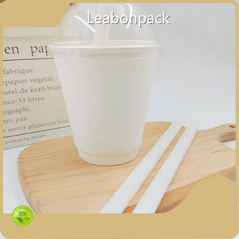 Drinking Paper Straws Manufacturers PSW001 1