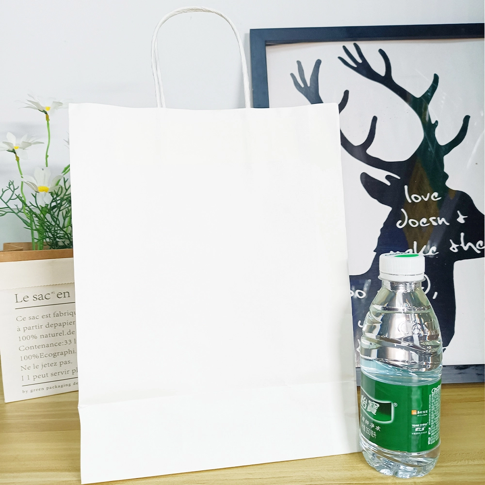 Top Branded Paper Bags-1 6