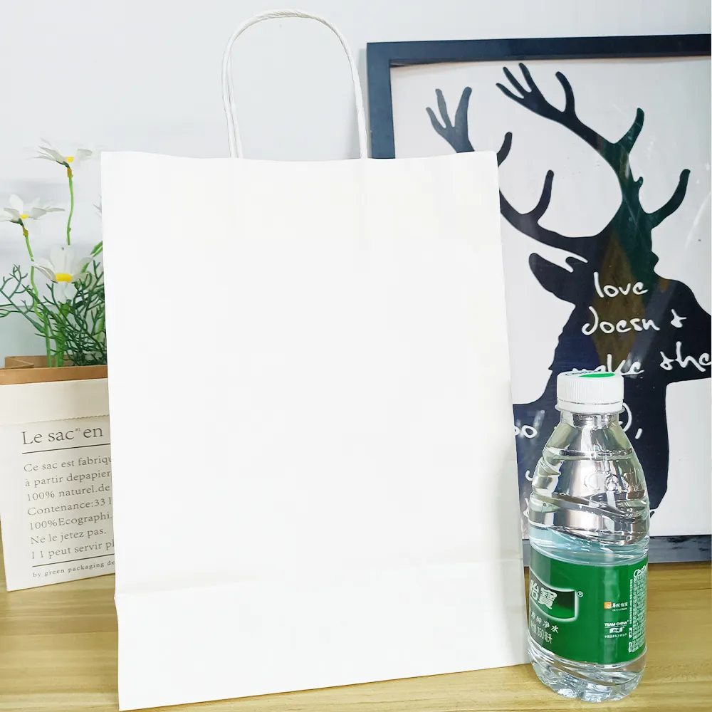 Top Branded Paper Bags-1 6