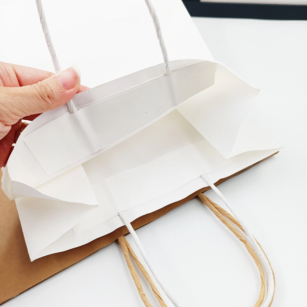 Top Branded Paper Bags-1 7