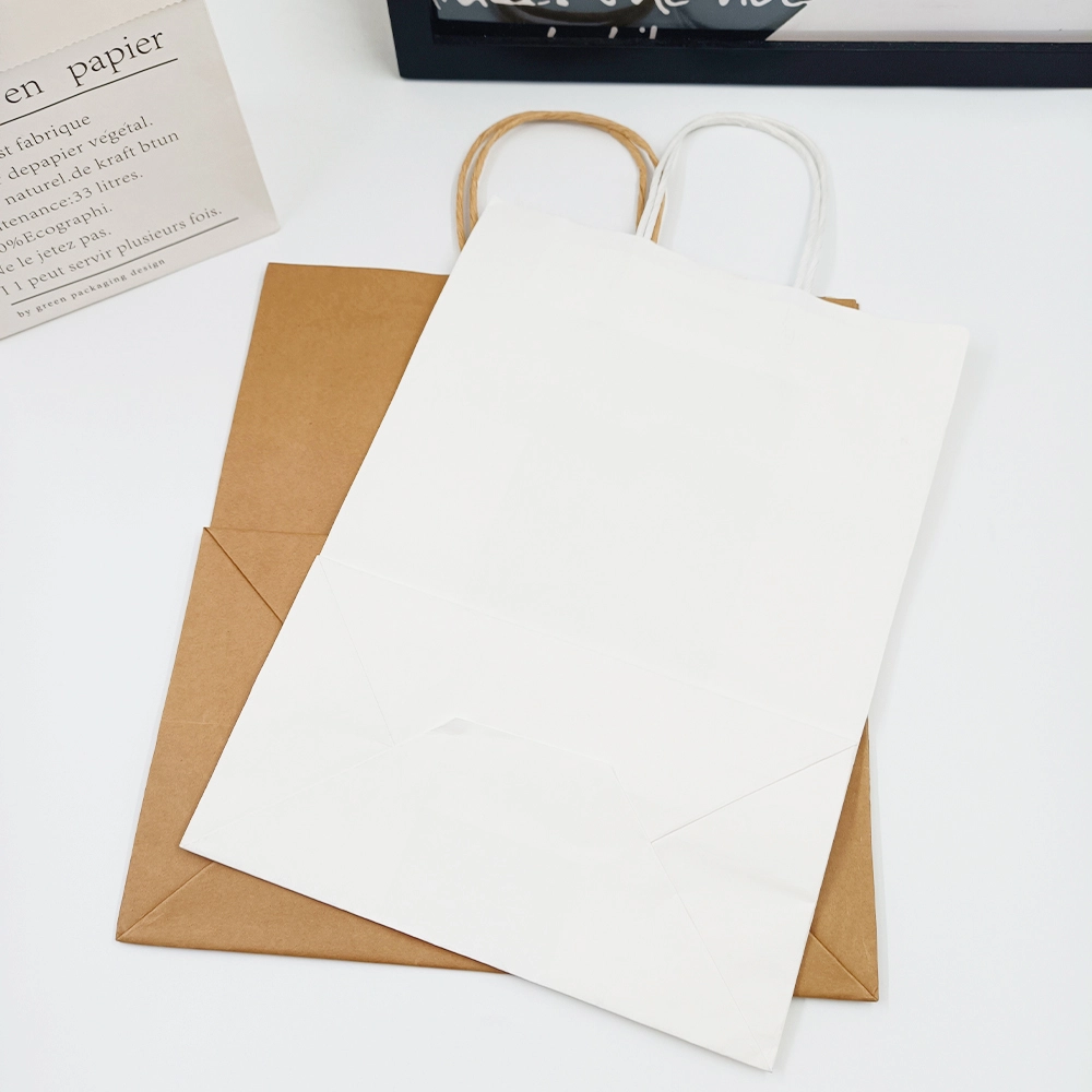 Top Branded Paper Bags-1 3
