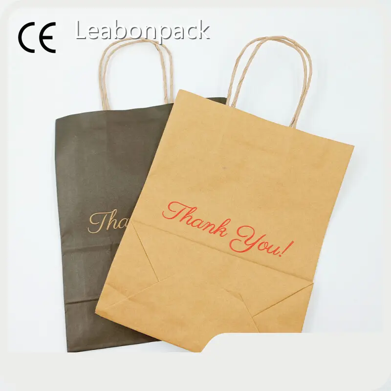 White Twist Handle Paper Bags HDC076Company 1