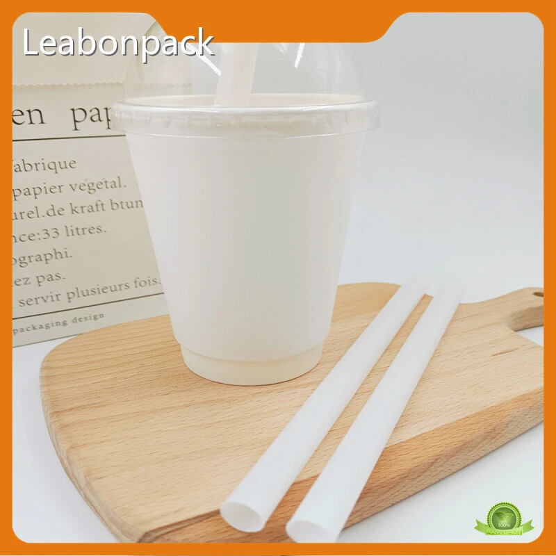 Leabonpack Wholesale Disposable Cutlery Suppliers 1 PieceFactory 1