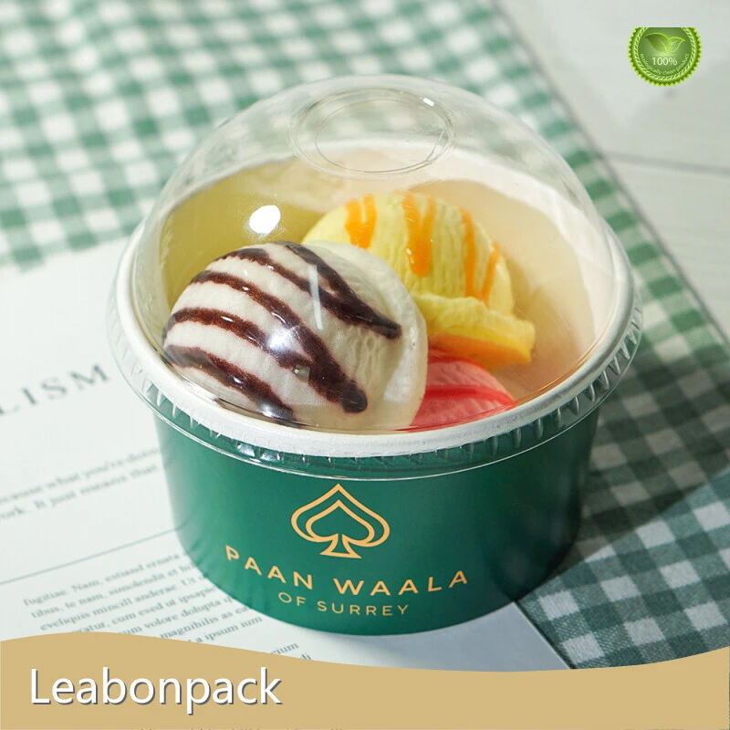 Custom Paper Ice Cream Tubs Company 1
