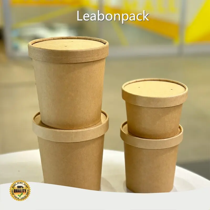Disposable Food Packaging PLD002 - - Leabonpack 1