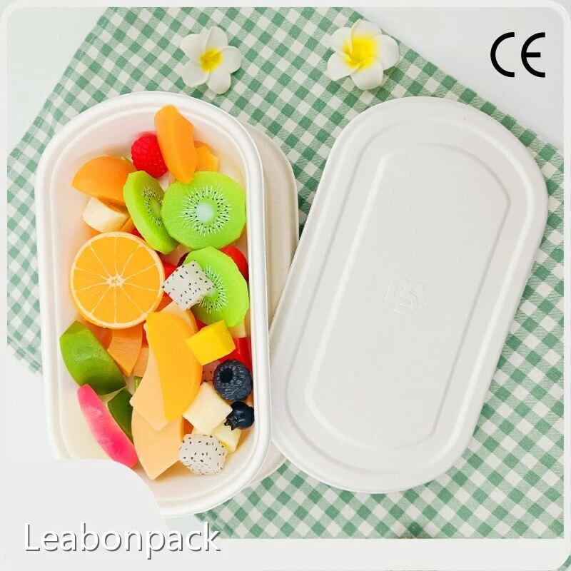 Sugarcane Packaging Boxes OEM/ODM - - Leabonpack 1