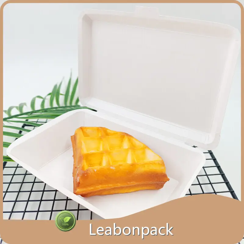OEMkraft Takeout Box 1 Piece OEM/ODM 1