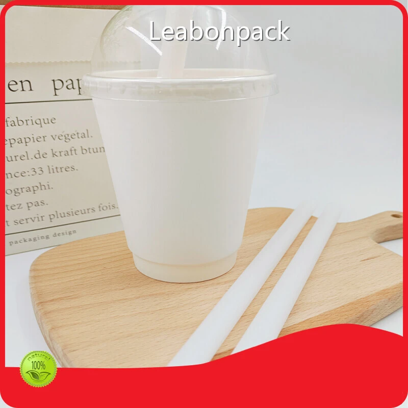 Leabonpack Recycled Straws 1 PieceSupply 1