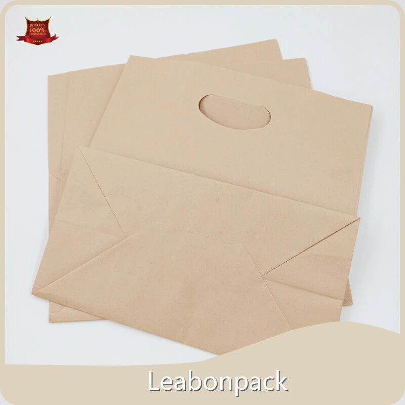 Top Branded Paper Bags 1