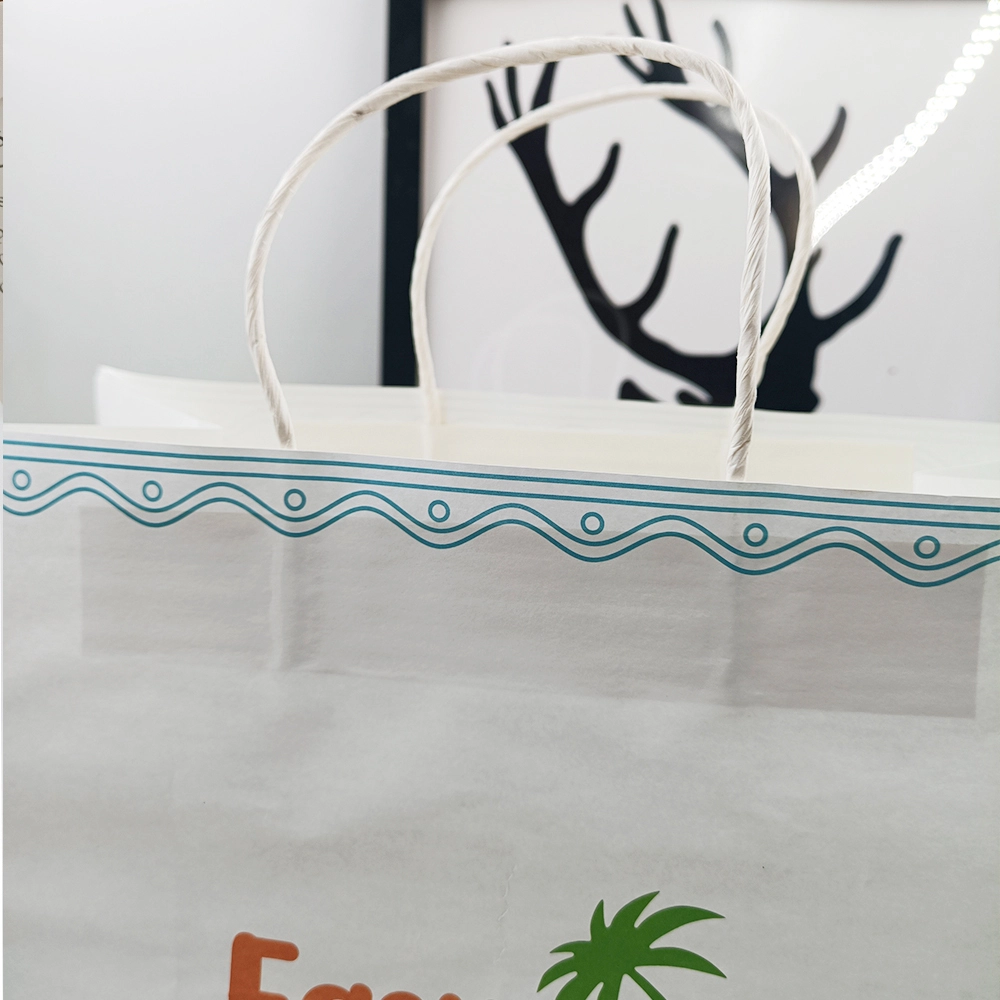 Takeaway Paper Bags HDC076 by Leabonpack 6