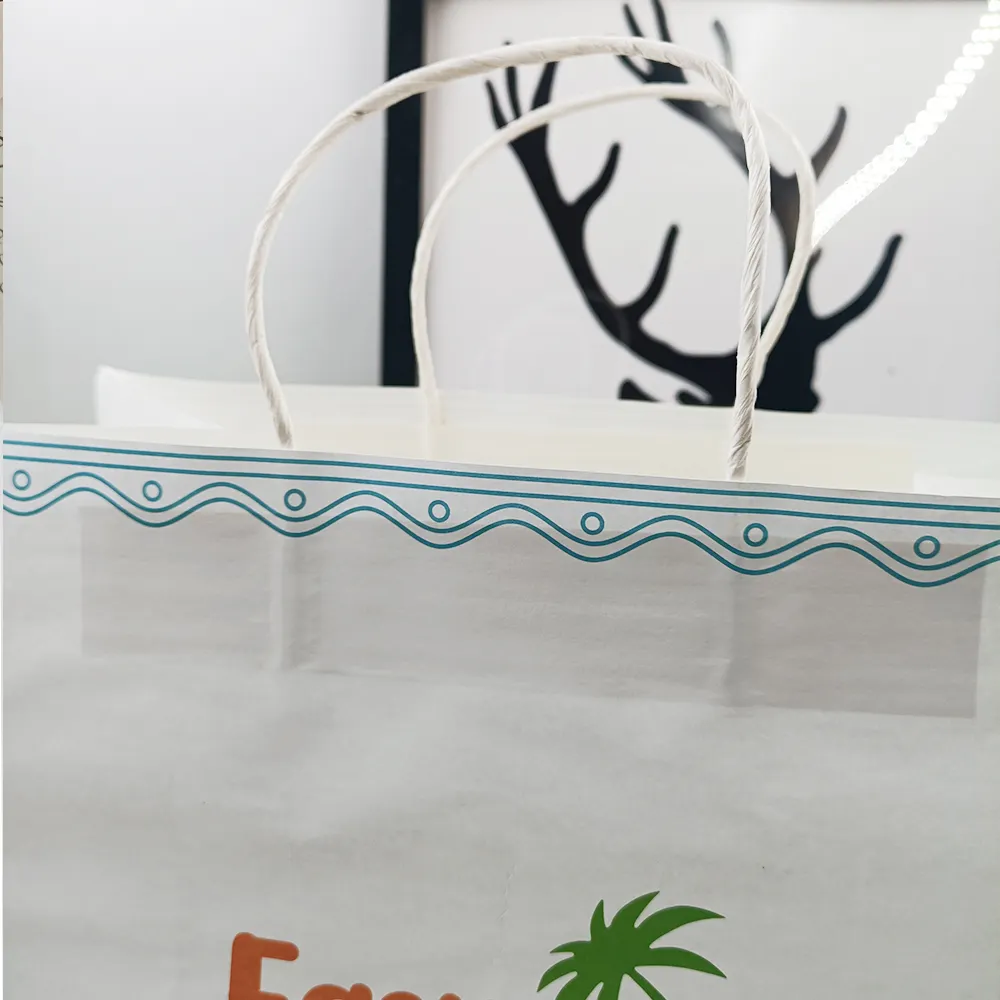 Twist Handle Carrier Bags 1 Piece - - Leabonpack 6