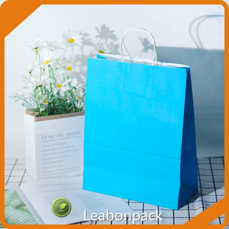 Customized Custom Paper Shopping Bags Custom Paper Shopping Bags Company 1