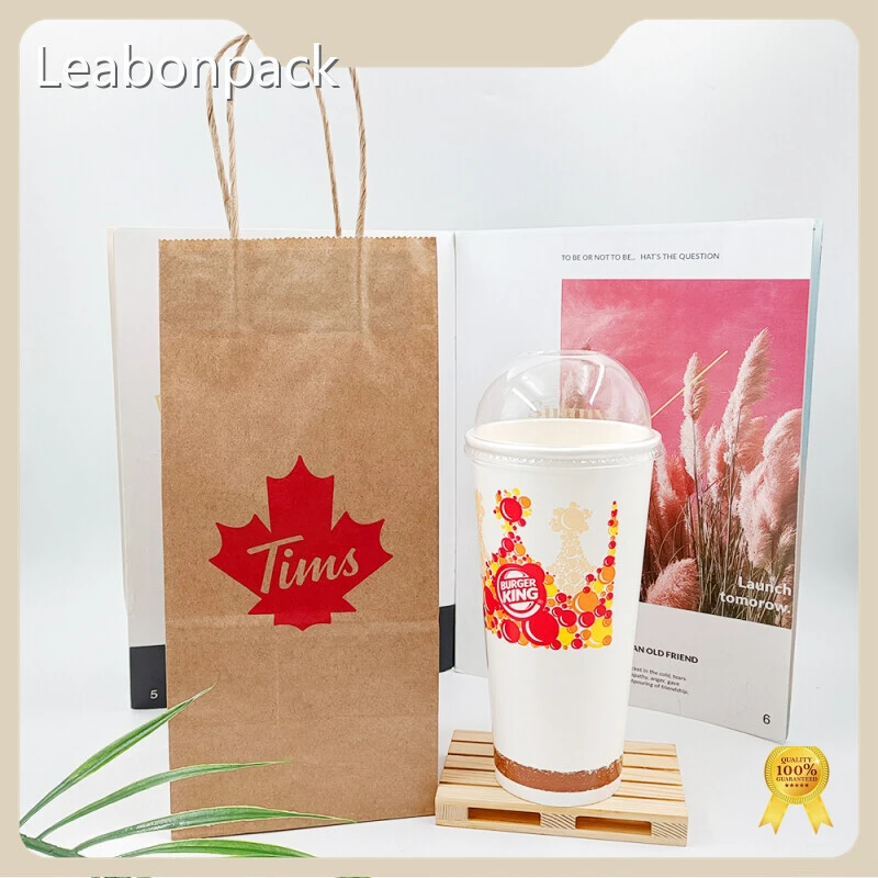 Takeaway Paper Bags HDC076 1 Piecefactory 1