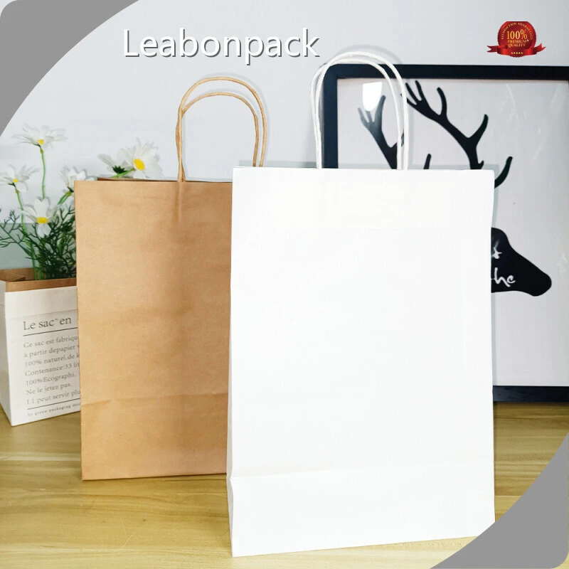 Top Branded Paper Bags-1 1
