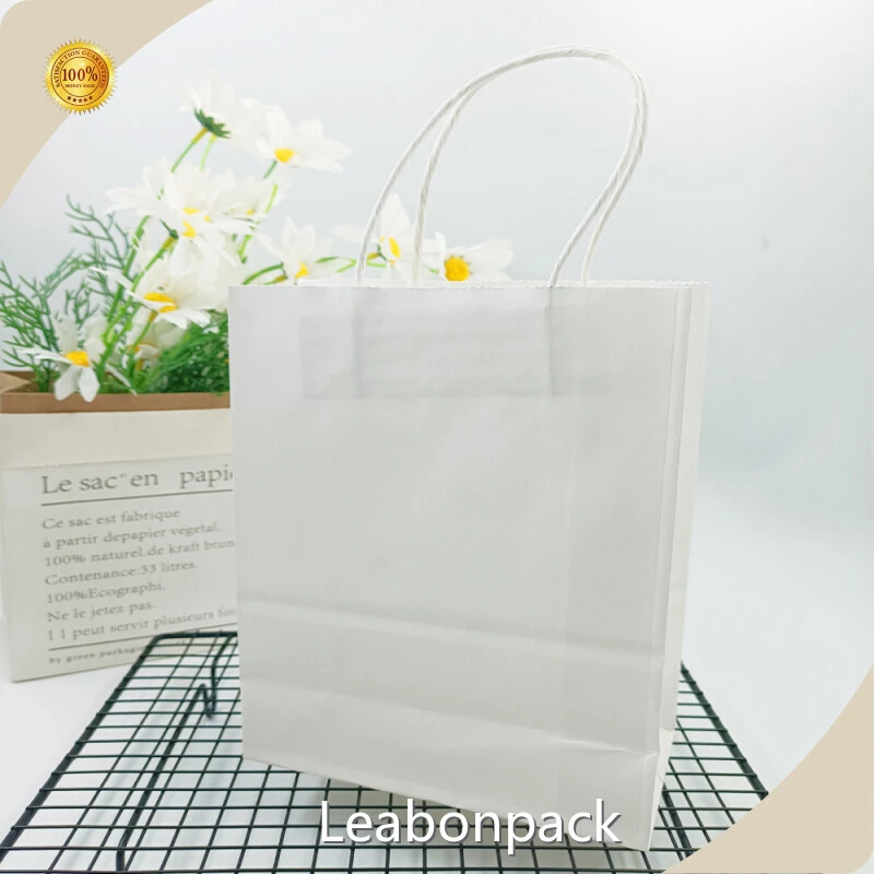 New Custom Paper Bags with Logo Supply 1