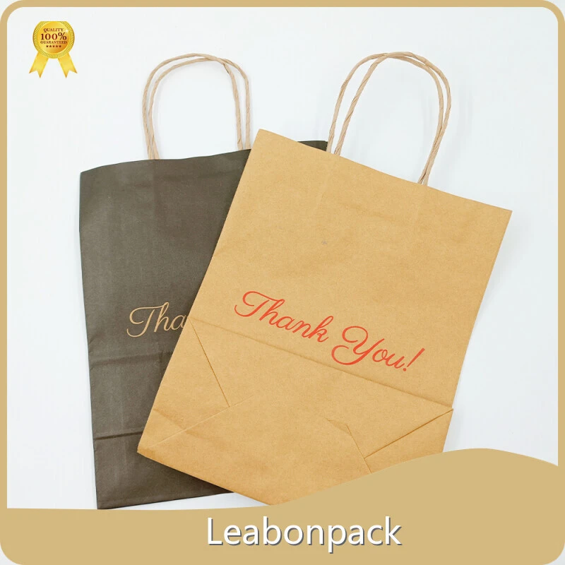 Paper Handle Bags HDC076 1 PieceSuppliers 1