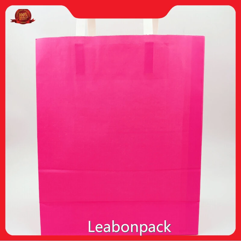 Custom Printed Kraft Paper Bags Manufacturers PB114 1