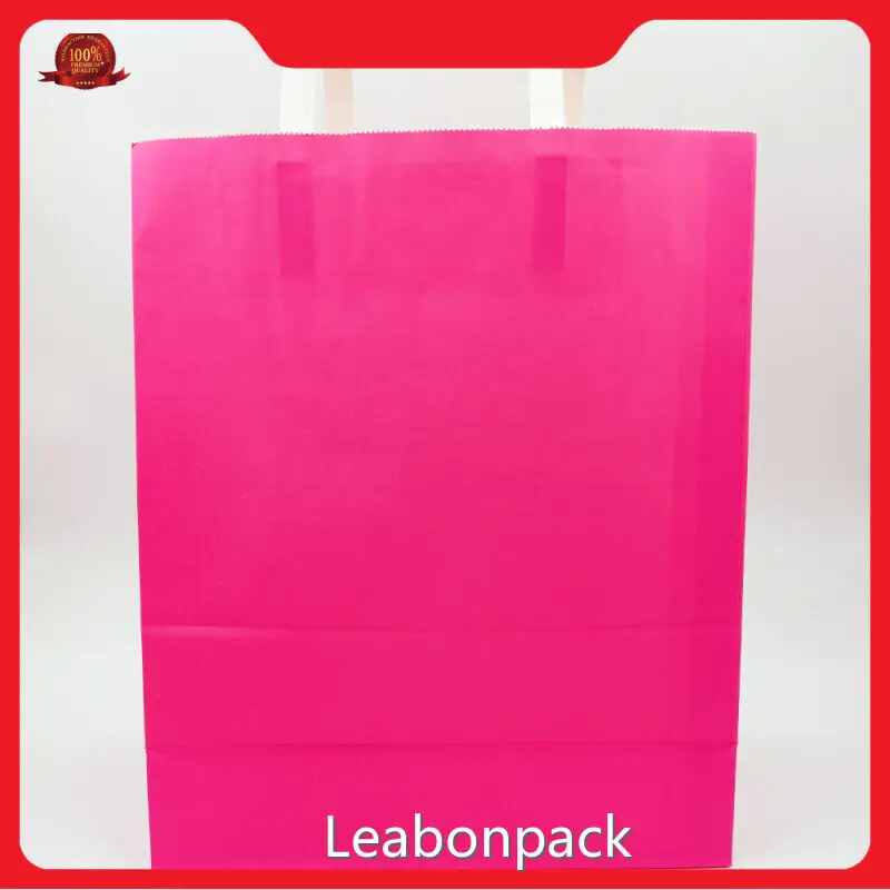 Custom Printed Kraft Paper Bags Manufacturers PB114 1
