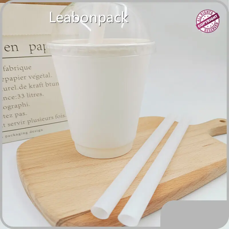 Printed Paper Straws PSW001 1 Pieceprice 1