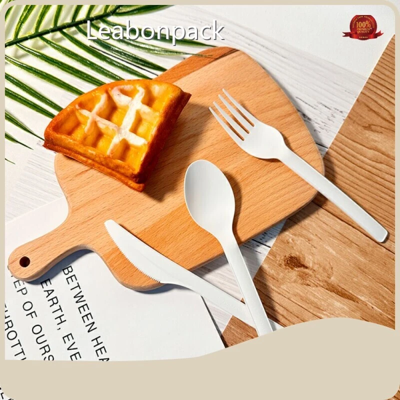 Best Disposable Cutlery SB0368 1 Piecevendor 1