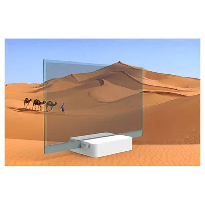 55 Inch OLED Digital Signage 1