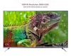Крытый монитор 4K 3D невооруженным глазом от 10,1 до 86-дюймового ЖК-монитора рекламного дисплея без очков 2
