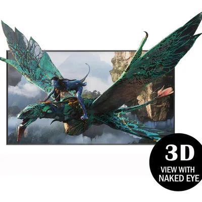 15.6 Inch UHD 3D Viewing Screen No Glasses Needed Naked Eye 3D LCD Advertising Player Display With Eyes Tracking Camera 1